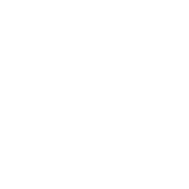 Segel DWISON Project Agency — Events · Travel · Supply
